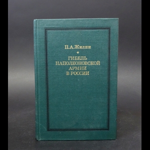 Жилин Павел - Гибель наполеоновской армии в России