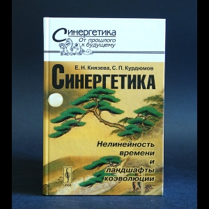 Князева Е.Н., Курдюмов С.П. - Синергетика. Нелинейность времени и ландшафты коэволюции 