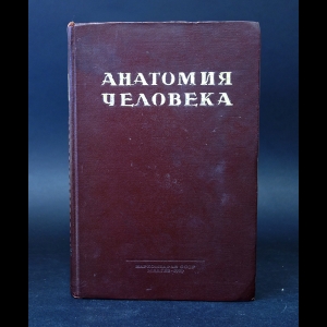 Кабанов Н.А. - Учебник анатомии и гистологии человека 