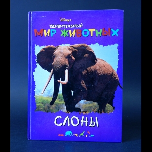 Коллектив авторов - Disney's Удивительный мир животных. Слоны
