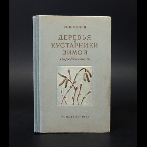 Рычин Ю.В. - Деревья и кустарники зимой 