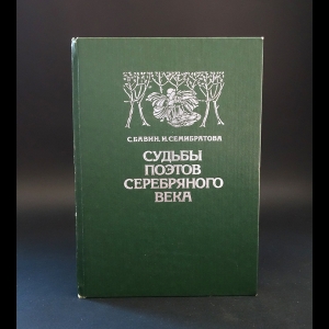 Бавин С., Семибратова И. - Судьбы поэтов Серебряного века 