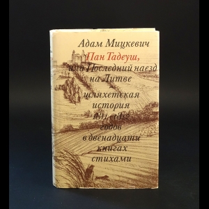 Мицкевич Адам - Пан Тадеуш, или Последний наезд на Литве