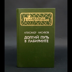 Насибов Александр - Долгий путь в лабиринте 