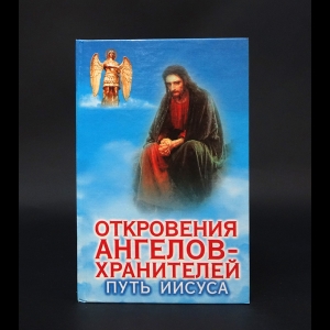 Гарифзянов Ренат, Панова Любовь - Откровения ангелов-хранителей. Путь Иисуса