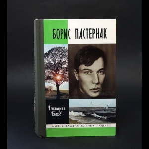 Быков Дмитрий - Борис Пастернак