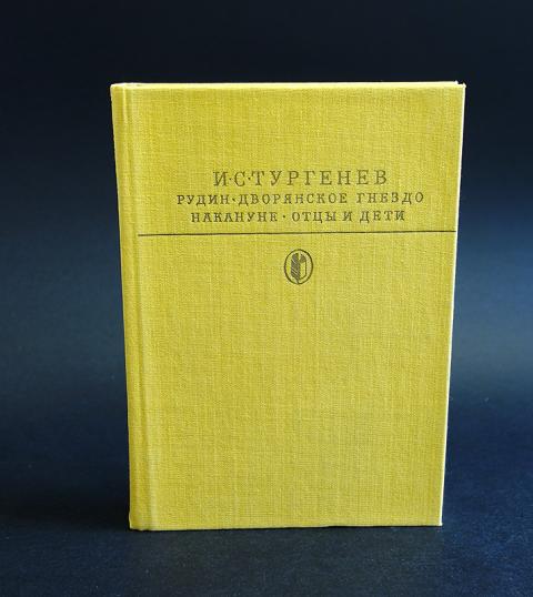 дворянское гнездо. дворянское гнездо тургенев. рудин накануне дворянское гнездо. тургенев иван сергеевич рудин. дворянское гнездо иван тургенев книга.