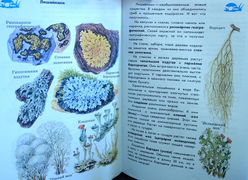 Купить Атлас Определитель 4 Класс