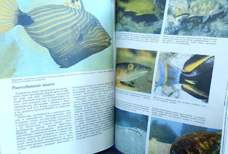Рыба книги купить. Оммани рыбы. Научно популярные книги о рыбах. Лучшие книги про рыб для детей. Книги про рыбку для детей 4 лет.