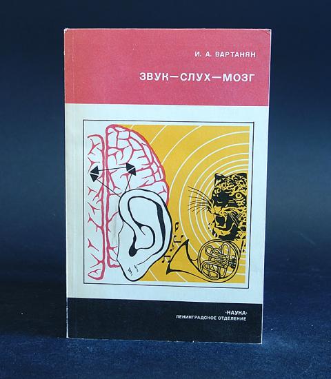 Звук слух мозг. Книга со звуками. Введение для темы звук слух мозг. Цель исследования звук слух мозг.