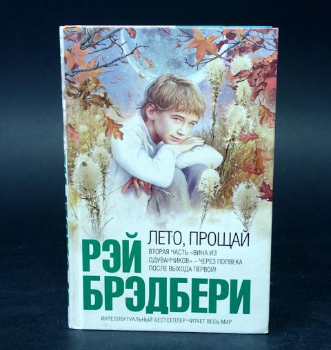 Презентация брэдбери все лето в один день