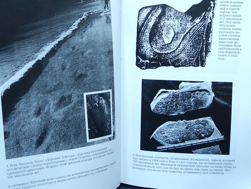 книги раскопки. александр быченин оружейники. александр быченин: черный археолог. сарианиди книги. читать книги археолог.