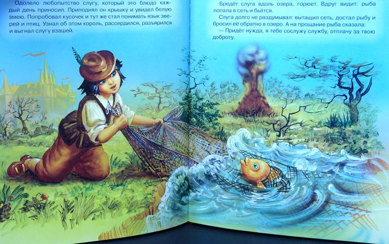 Купить книгу Золотой гусь и другие сказки Братья Гримм, Росмэн 2008 ...