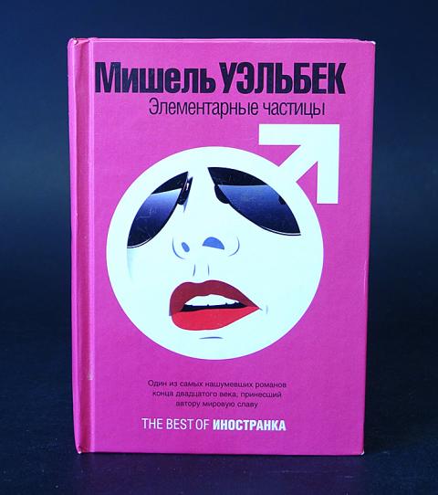 Мишель уэльбек карта и территория читать онлайн бесплатно полную версию