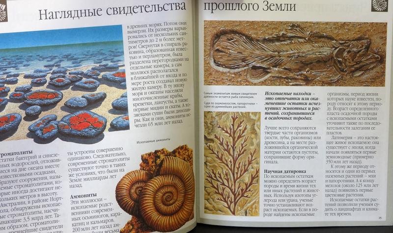 Махаон рассказы о картинах