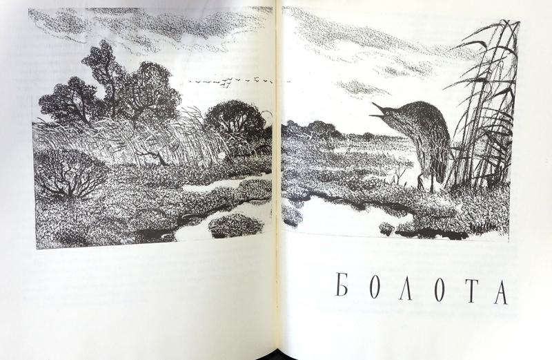 Рисунок аксаков гнездо