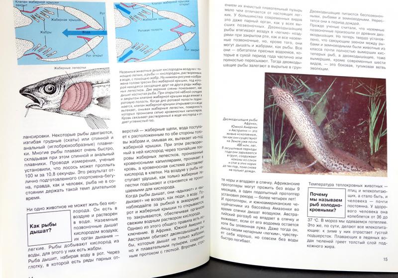 Большая рыба книга