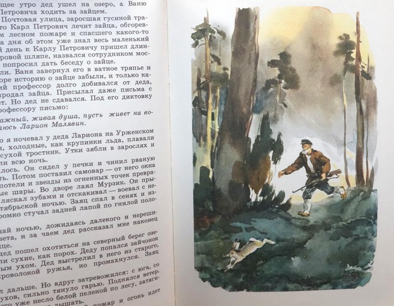 План к рассказу золотой линь